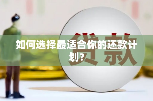 绿岛如何选择最适合你的还款计划？