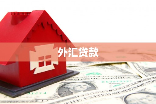绿岛外汇贷款