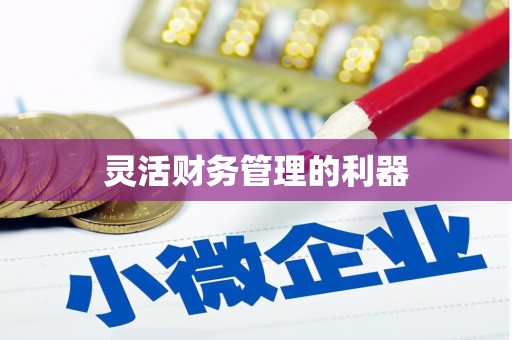 绿岛灵活财务管理的利器