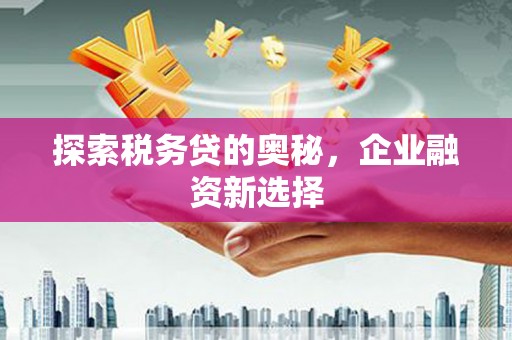 绿岛探索税务贷的奥秘，企业融资新选择