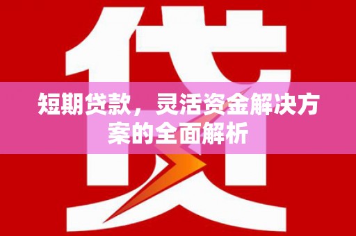 绿岛短期贷款，灵活资金解决方案的全面解析