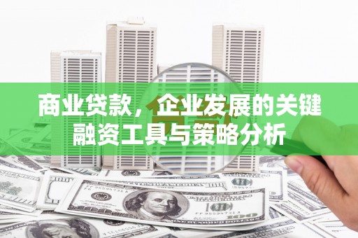 绿岛商业贷款，企业发展的关键融资工具与策略分析