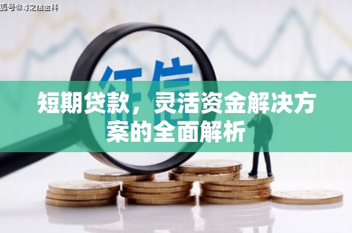 绿岛短期贷款，灵活资金解决方案的全面解析