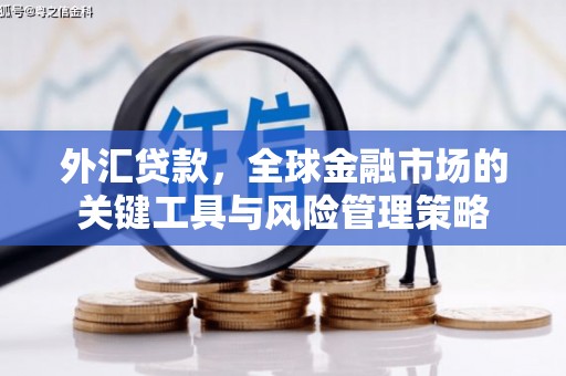 绿岛外汇贷款，全球金融市场的关键工具与风险管理策略