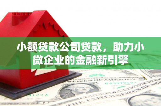 绿岛小额贷款公司贷款，助力小微企业的金融新引擎