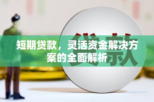 绿岛短期贷款，灵活资金解决方案的全面解析