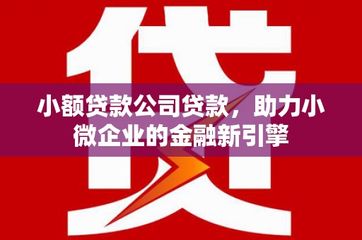 绿岛小额贷款公司贷款，助力小微企业的金融新引擎