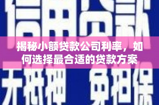 绿岛揭秘小额贷款公司利率，如何选择最合适的贷款方案