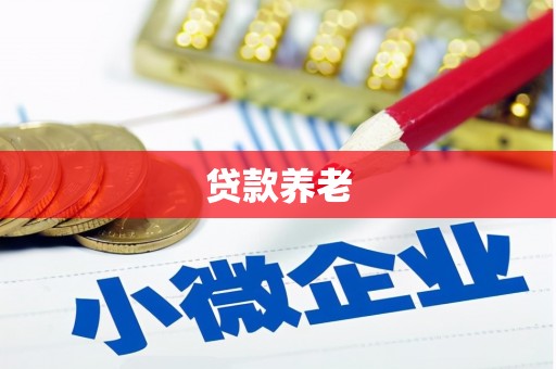 绿岛贷款养老