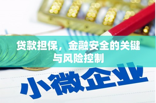 绿岛贷款担保，金融安全的关键与风险控制