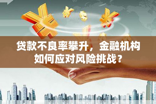 绿岛贷款不良率攀升，金融机构如何应对风险挑战？