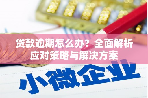 绿岛贷款逾期怎么办？全面解析应对策略与解决方案