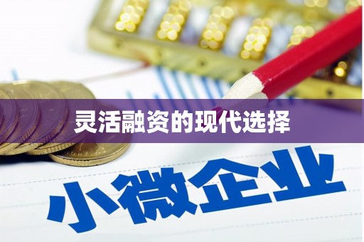 绿岛灵活融资的现代选择