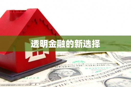 绿岛透明金融的新选择