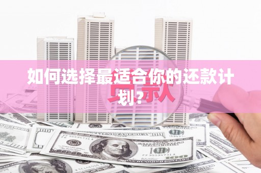 绿岛如何选择最适合你的还款计划？